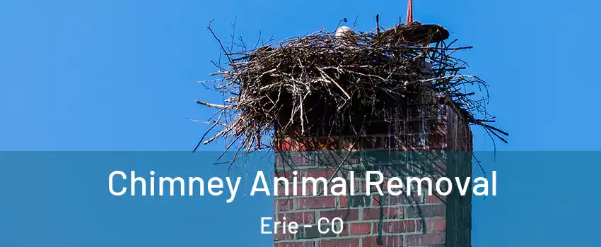 Chimney Animal Removal Erie - CO