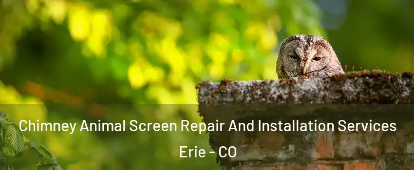  Chimney Animal Screen Repair And Installation Services Erie - CO