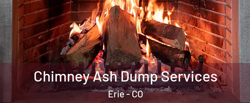  Chimney Ash Dump Services Erie - CO