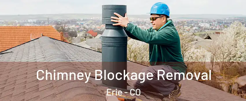  Chimney Blockage Removal Erie - CO