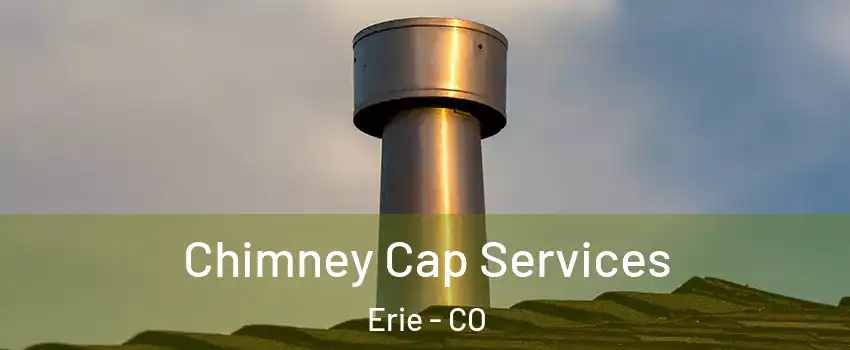  Chimney Cap Services Erie - CO