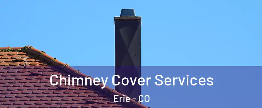  Chimney Cover Services Erie - CO