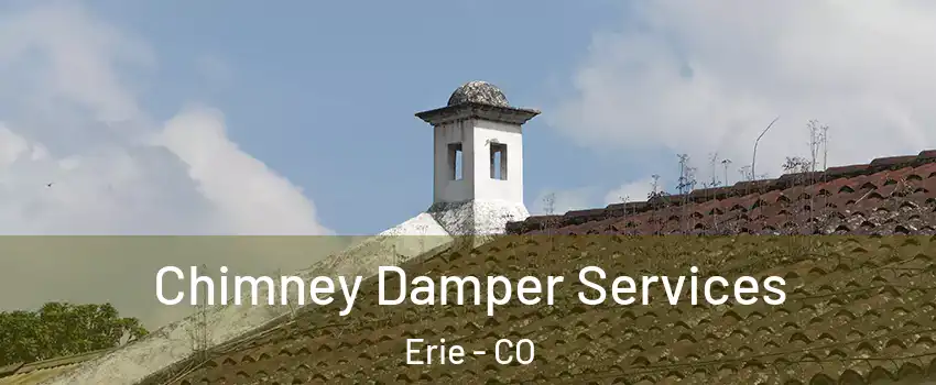  Chimney Damper Services Erie - CO