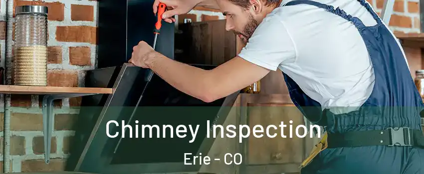  Chimney Inspection Erie - CO