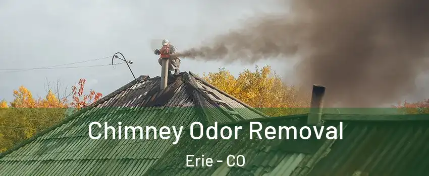  Chimney Odor Removal Erie - CO
