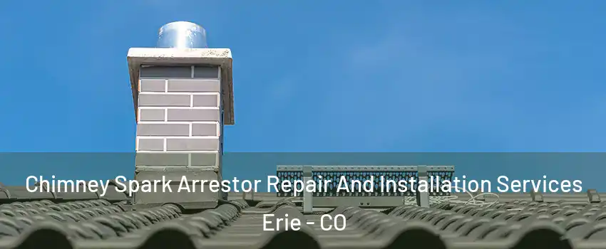  Chimney Spark Arrestor Repair And Installation Services Erie - CO