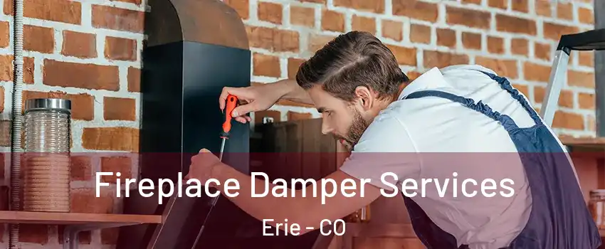  Fireplace Damper Services Erie - CO