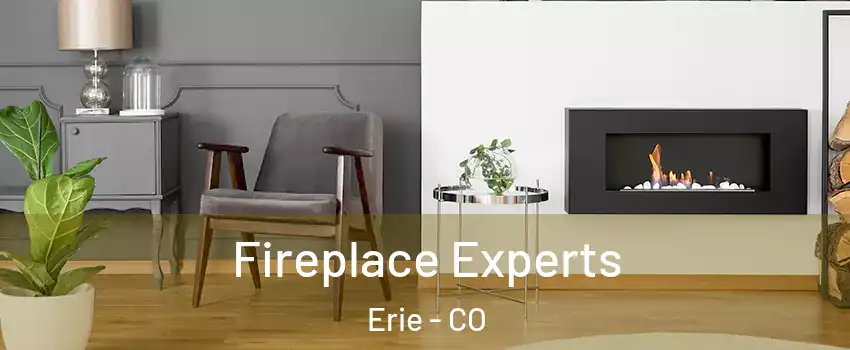  Fireplace Experts Erie - CO