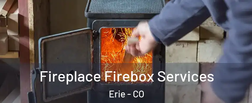  Fireplace Firebox Services Erie - CO
