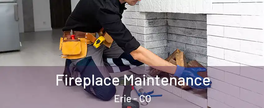  Fireplace Maintenance Erie - CO