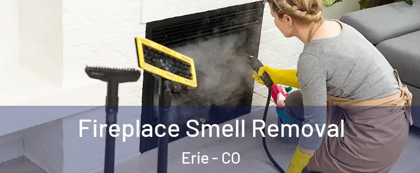  Fireplace Smell Removal Erie - CO