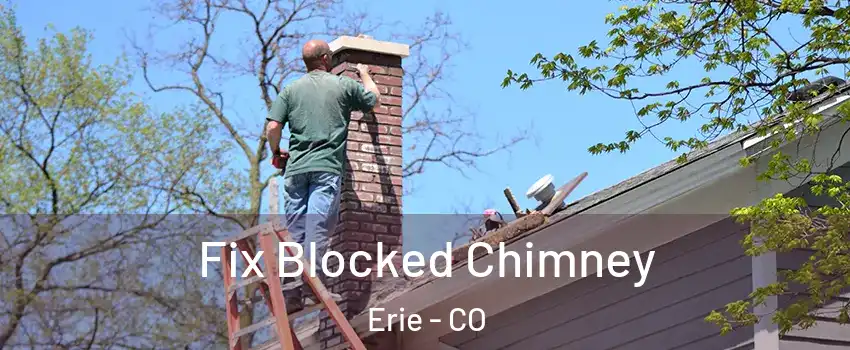  Fix Blocked Chimney Erie - CO