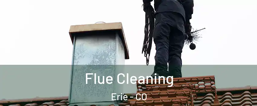  Flue Cleaning Erie - CO