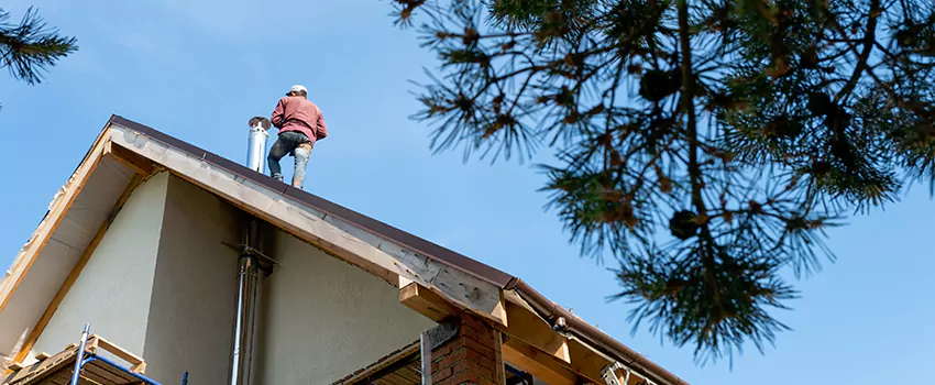 Birds Removal Contractors from Chimney in Erie, CO