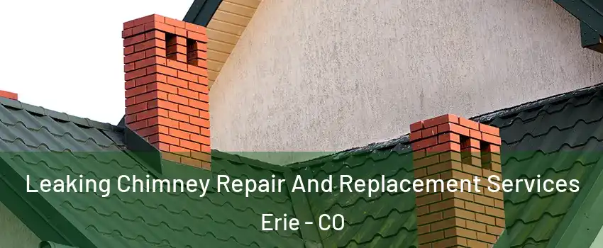  Leaking Chimney Repair And Replacement Services Erie - CO