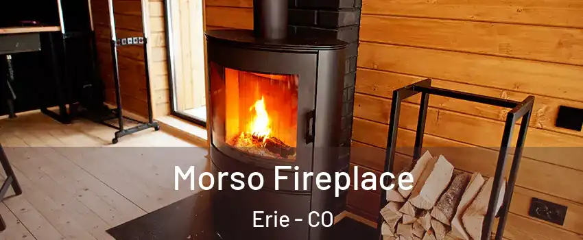  Morso Fireplace Erie - CO
