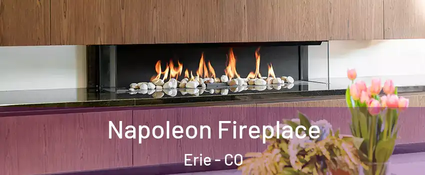  Napoleon Fireplace Erie - CO