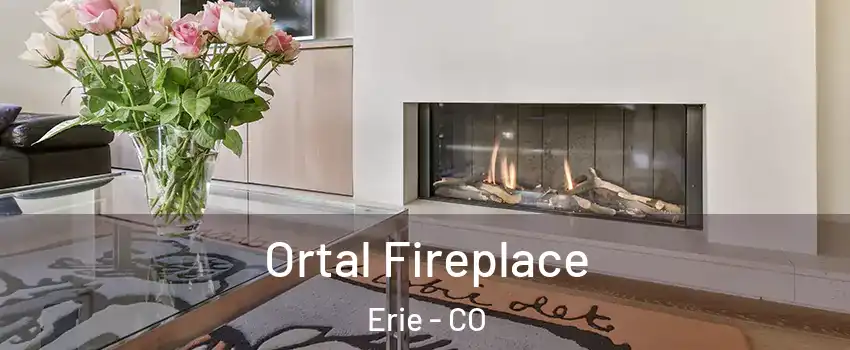  Ortal Fireplace Erie - CO