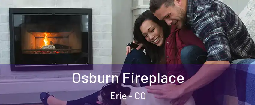  Osburn Fireplace Erie - CO